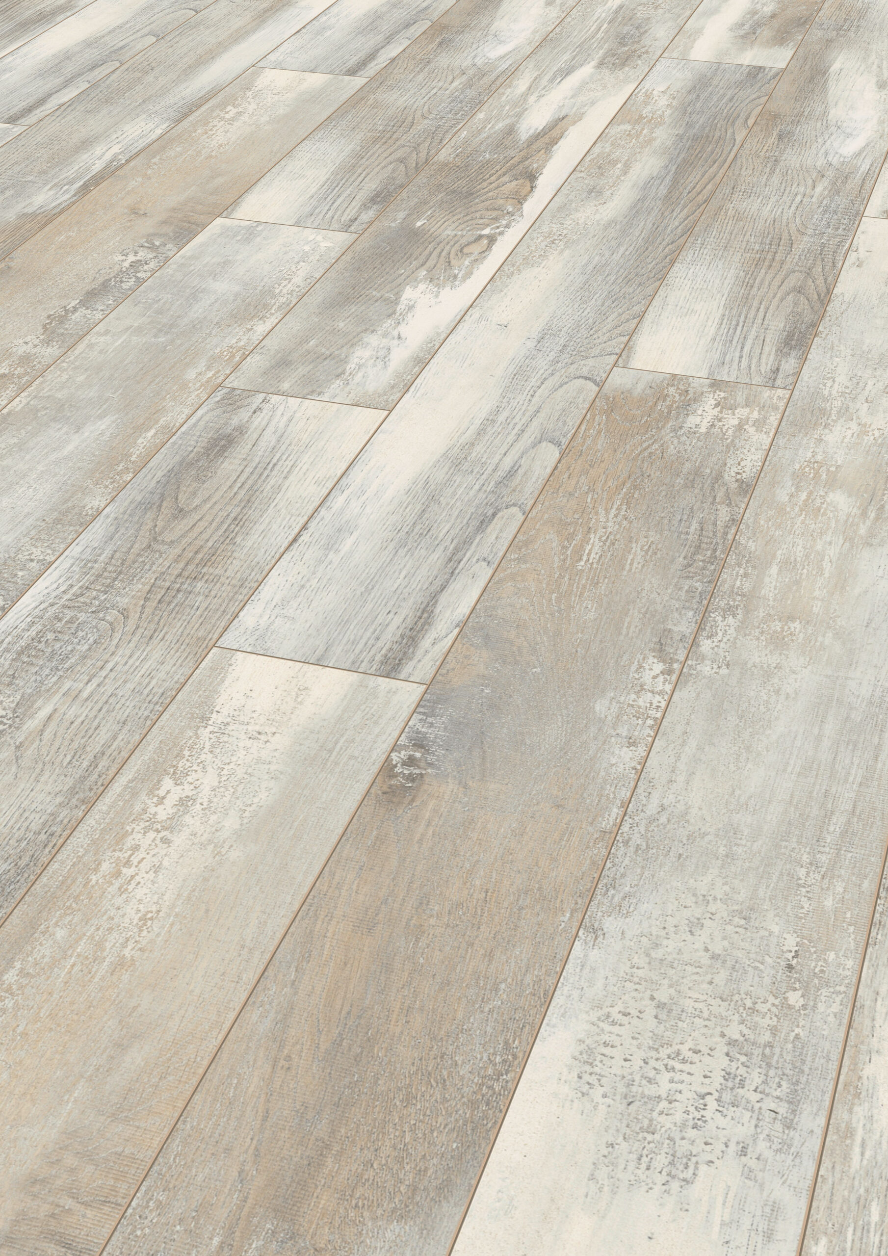 D4754 ICELAND OAK