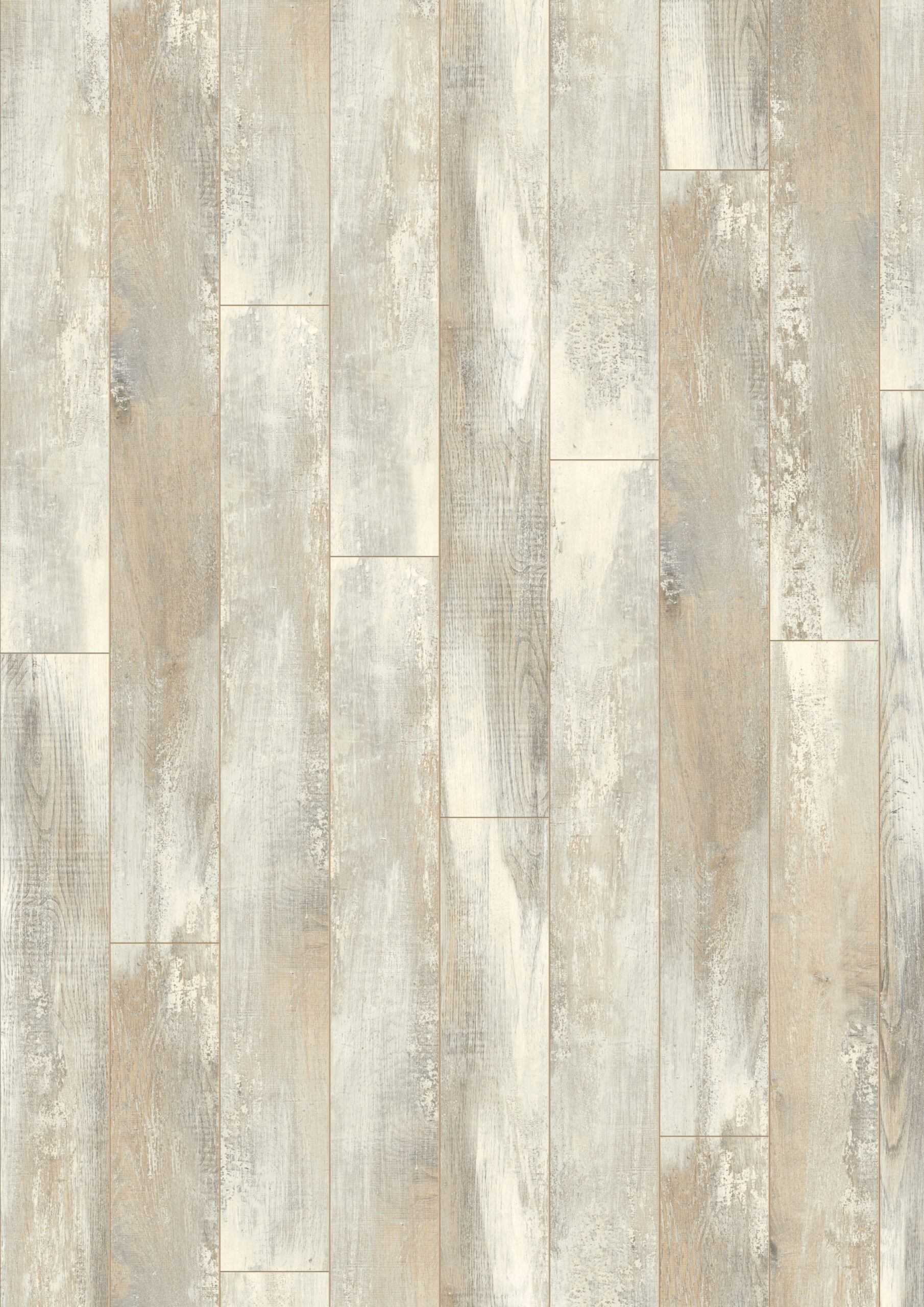 D4754 ICELAND OAK