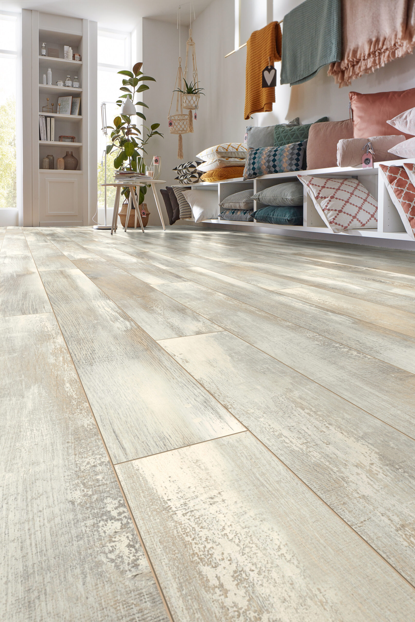 D4754 ICELAND OAK