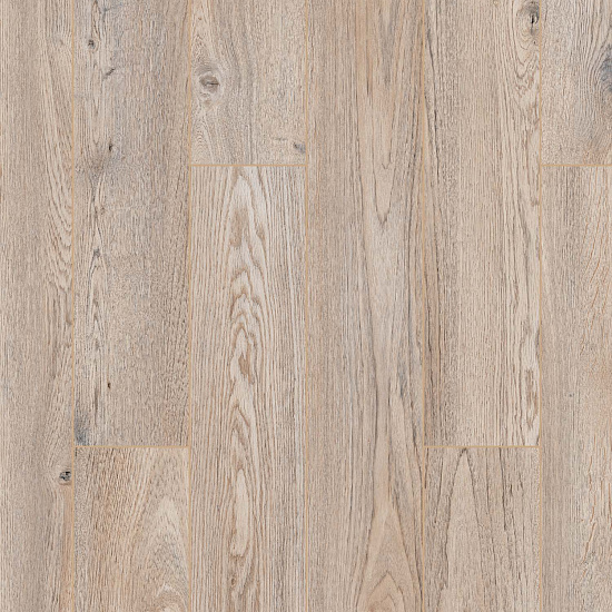 D50937 Дуб Митфорд