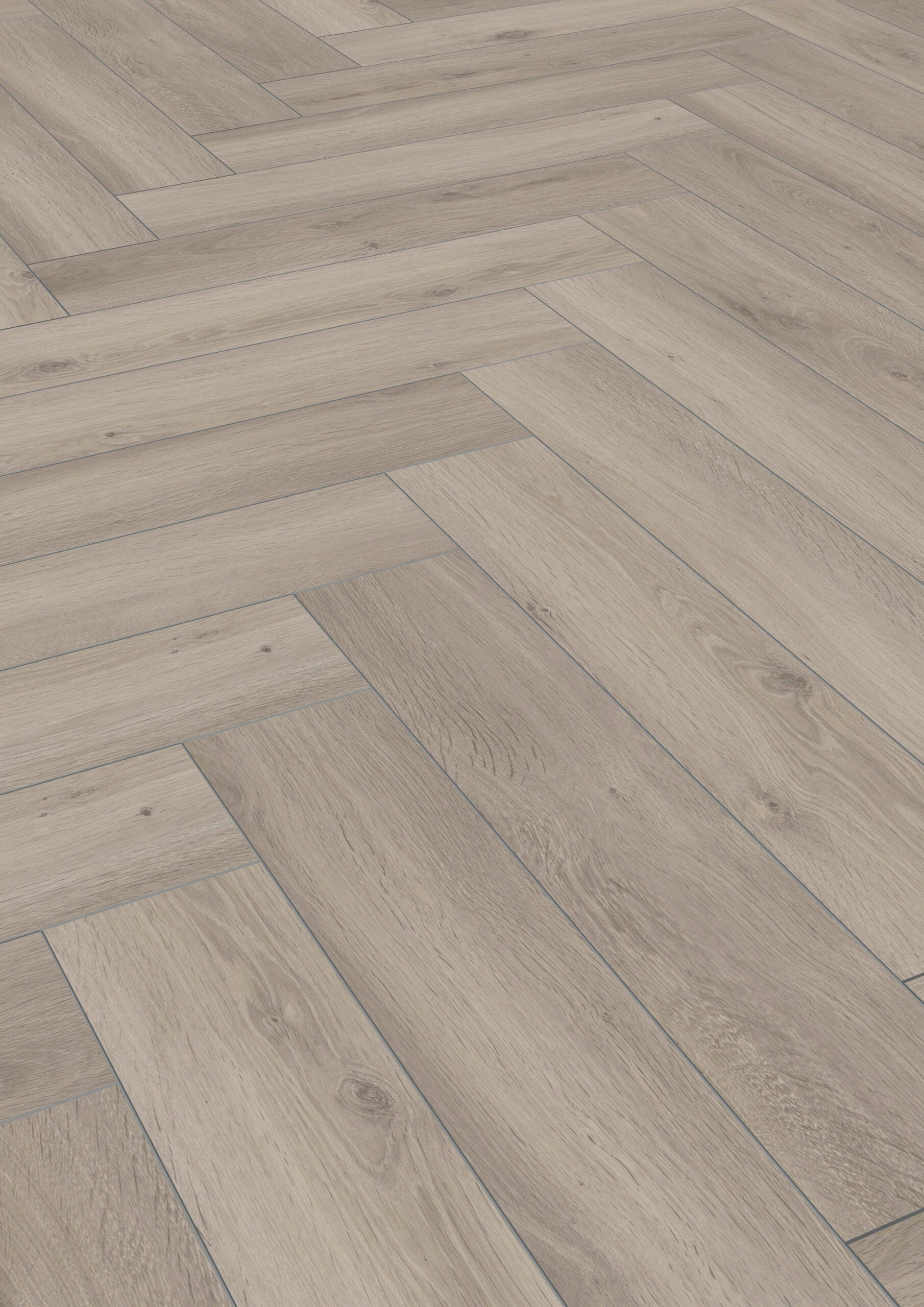 D3773 Eiche Silber