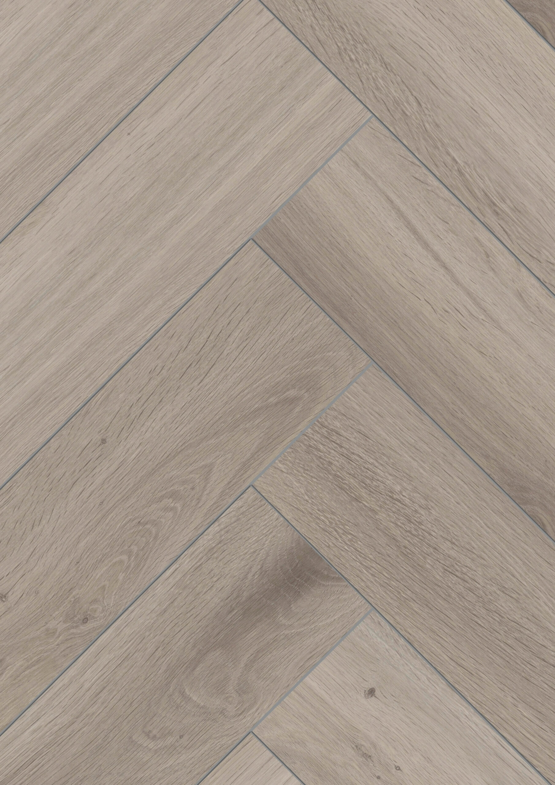 D3773 Eiche Silber