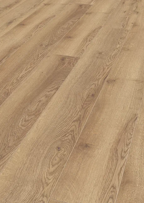 D4725 Дуб горный природный