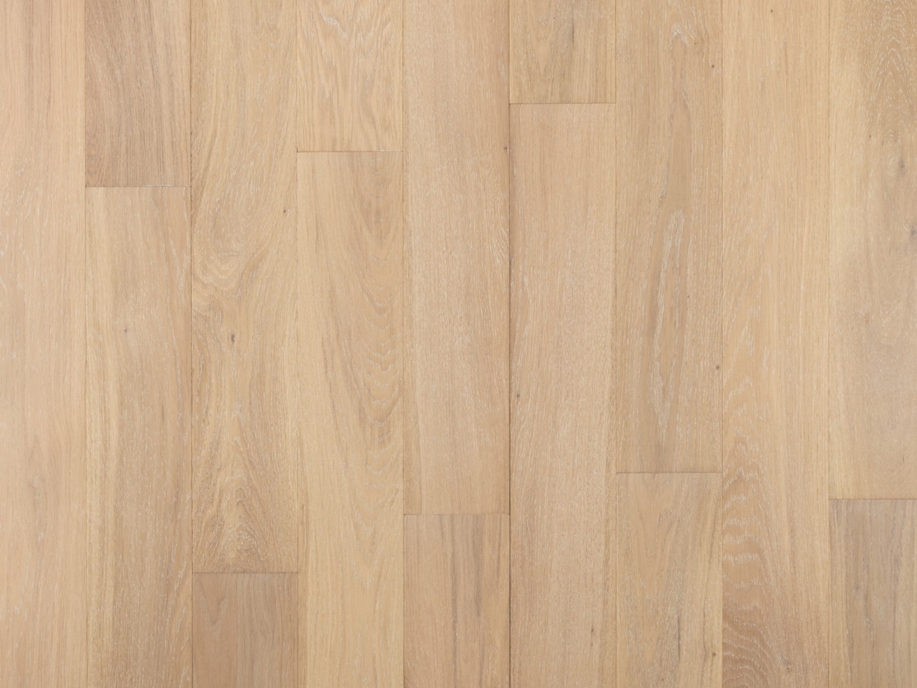 Инженерная доска Primavera 145x400-1300 Oak Disparo Натур